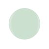 Mint Chocolate Chip