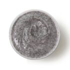Scrub-Jar-Topview