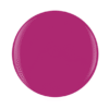 Amour Color Please
