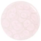 P-OpalOfMyEye.